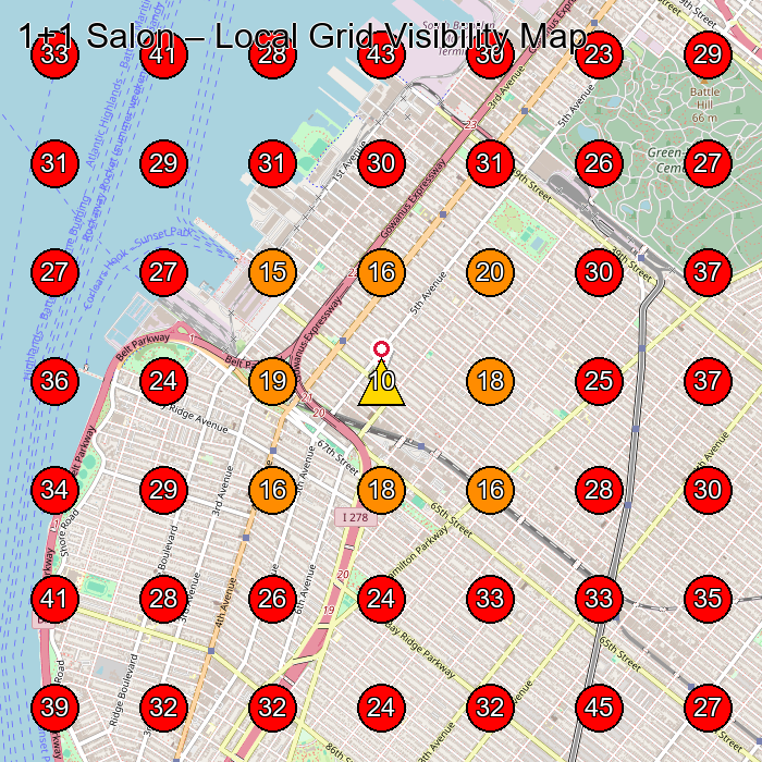 1+1 Salon GeoGrid visibility map for Hair Salon in Brooklyn